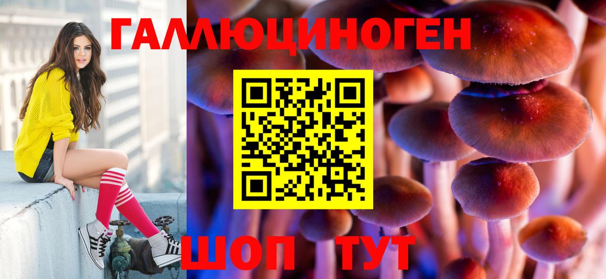Галлюциногенные грибы GOLDEN TEACHER  Вход с VPN  Мценск  Псилоцибиновые грибы GOLDEN TEACHER 