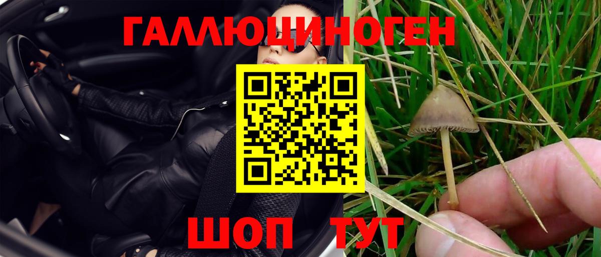 Псилоцибиновые грибы ЛСД Мценск