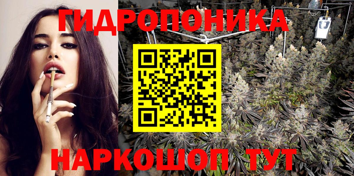 Бошки Шишки планчик  Вход с VPN  Бошки марихуана тримм  Бошки марихуана THC 21%  Мценск 